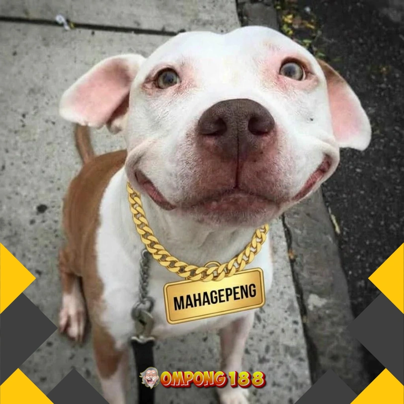 Galaxy A07 Front Black 